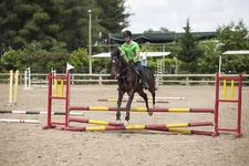 Ufc Fight Night: Cejudo Vs. Dillashaw