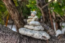 European Exchange Rate Mechanism