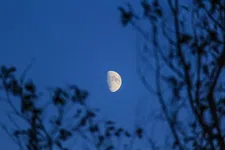 The Emperor Of The Moon