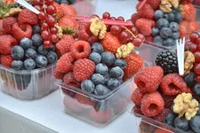 Five Quarters Of The Orange