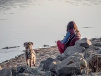 Democracy In Europe Movement 2025